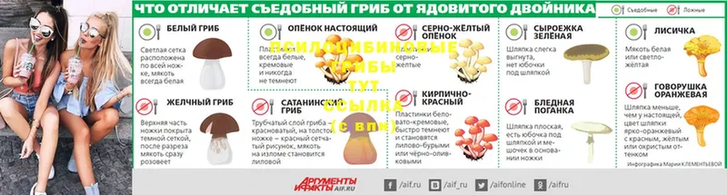 Галлюциногенные грибы мухоморы  Владимир 